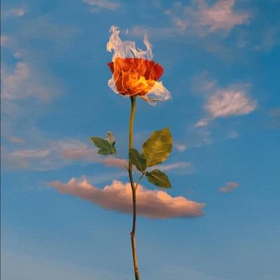 冰钓大师-付费下载版